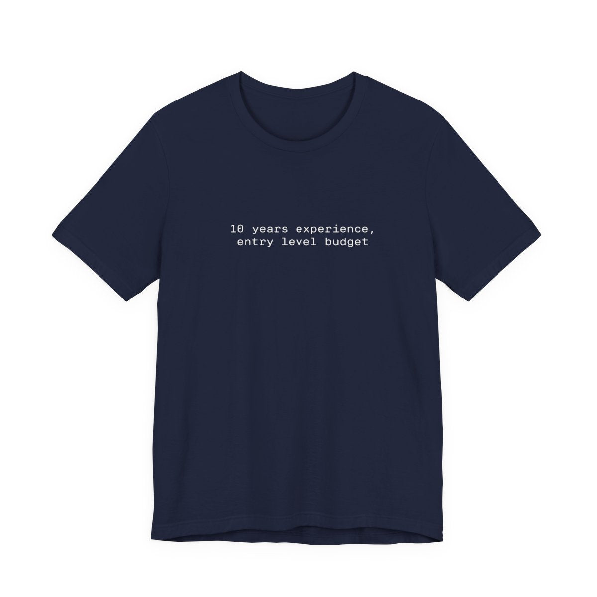 10 Years Experience, Entry Level Budget Funny Graphic Tee