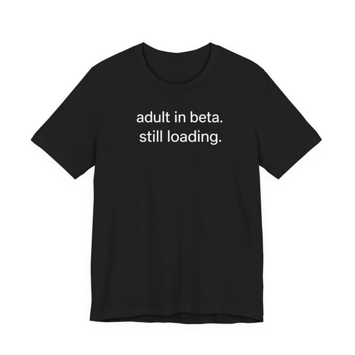 Adult In Beta — Funny Adulthood Graphic Tee